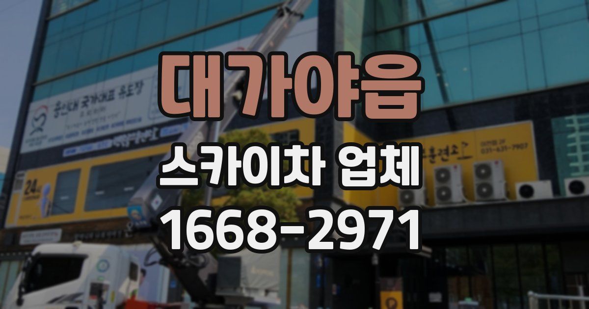 대가야읍 스카이차 업체