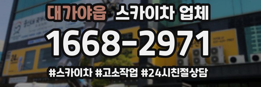 대가야읍 스카이차 업체