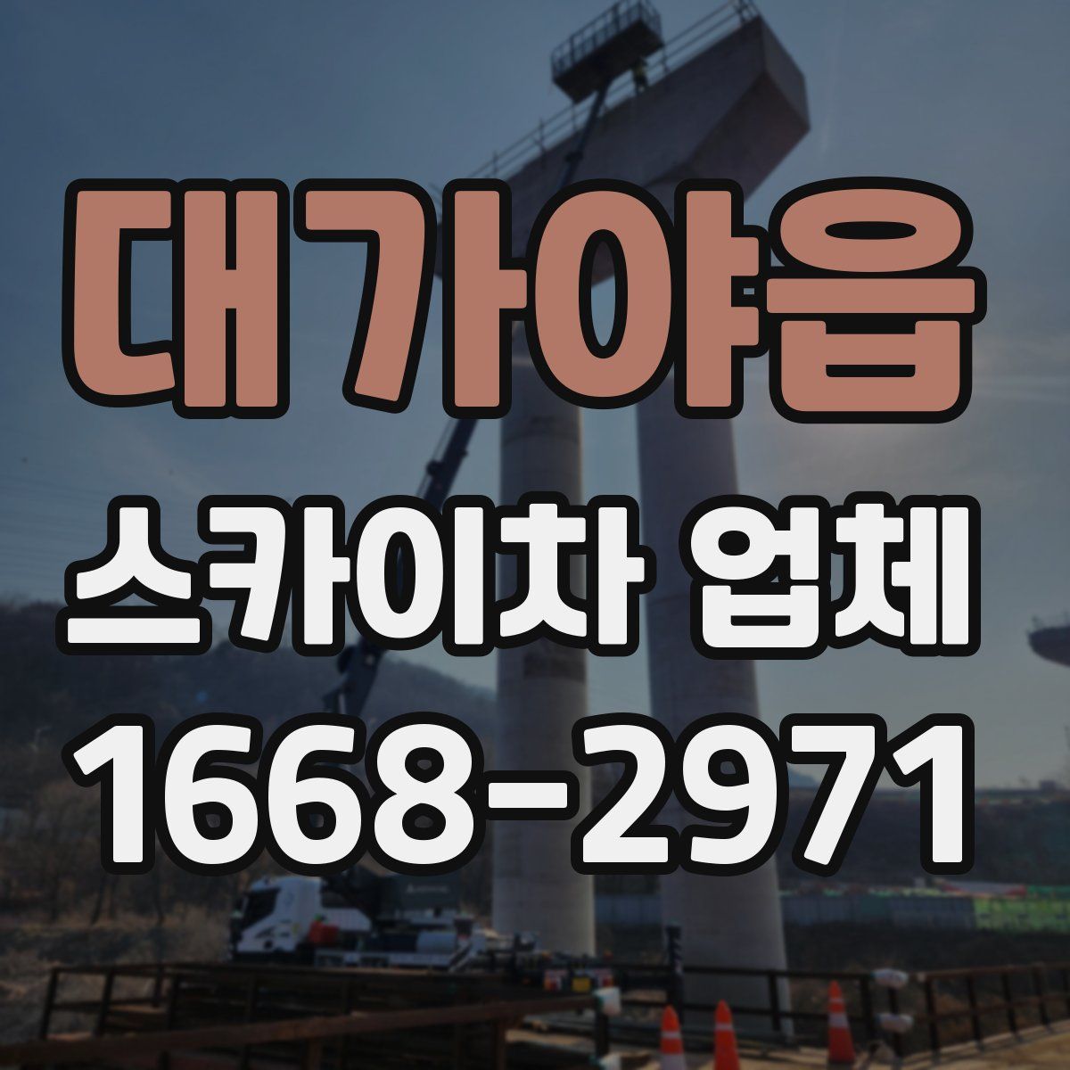 대가야읍 스카이차 업체