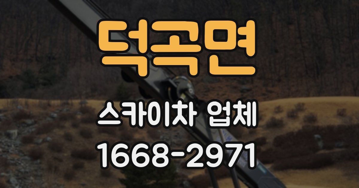 덕곡면 스카이차 업체