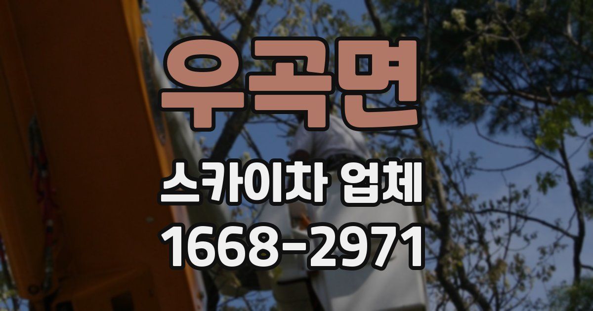 우곡면 스카이차 업체