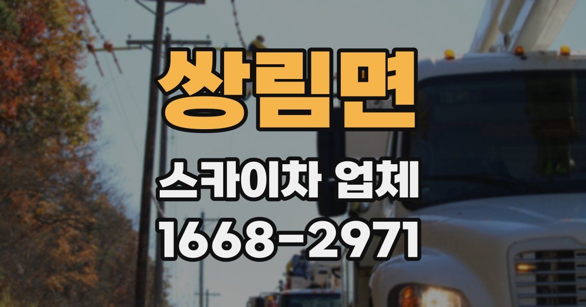쌍림면 스카이차 업체