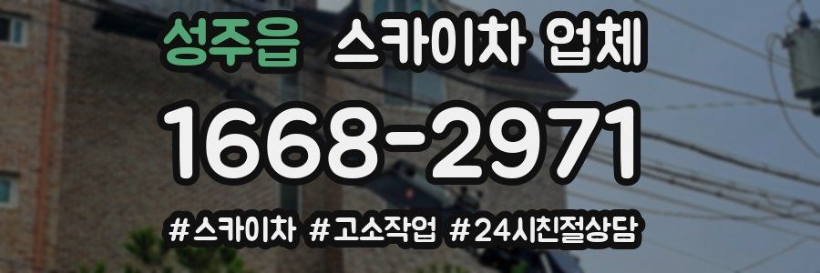 성주읍 스카이차 업체