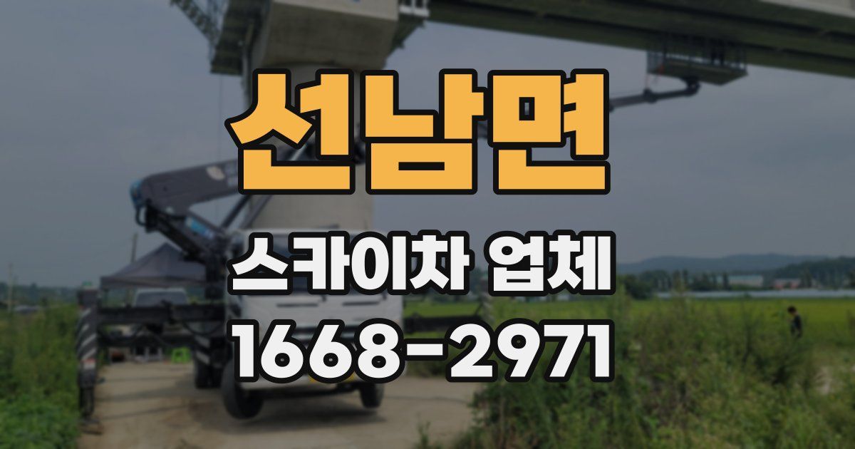 선남면 스카이차 업체