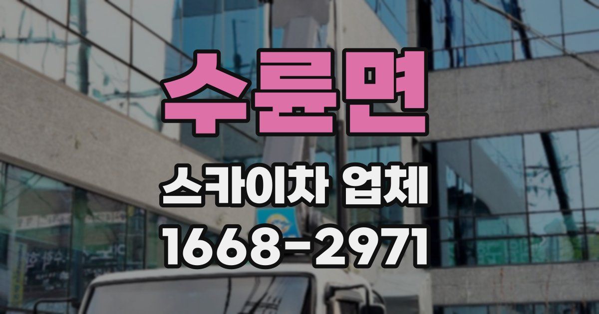 수륜면 스카이차 업체
