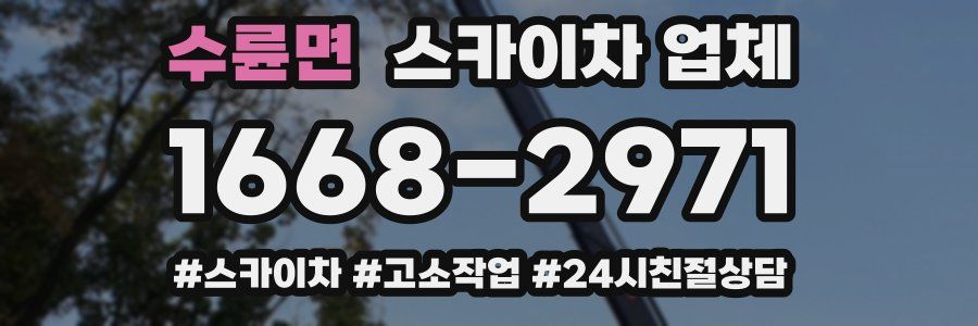 수륜면 스카이차 업체