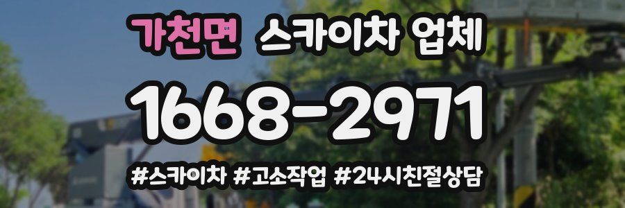 가천면 스카이차 업체