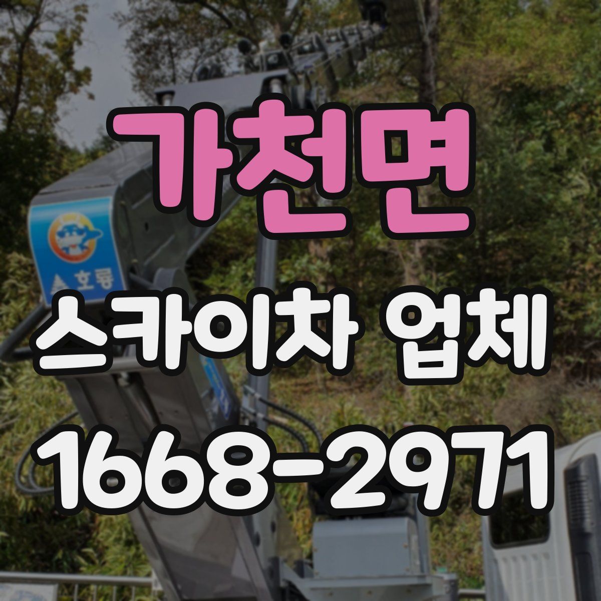 가천면 스카이차 업체