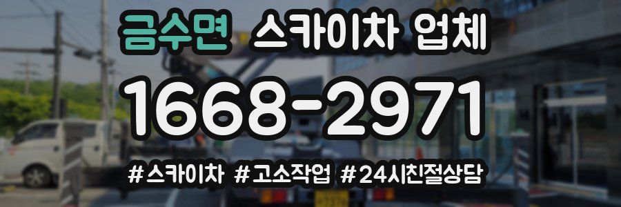 금수면 스카이차 업체