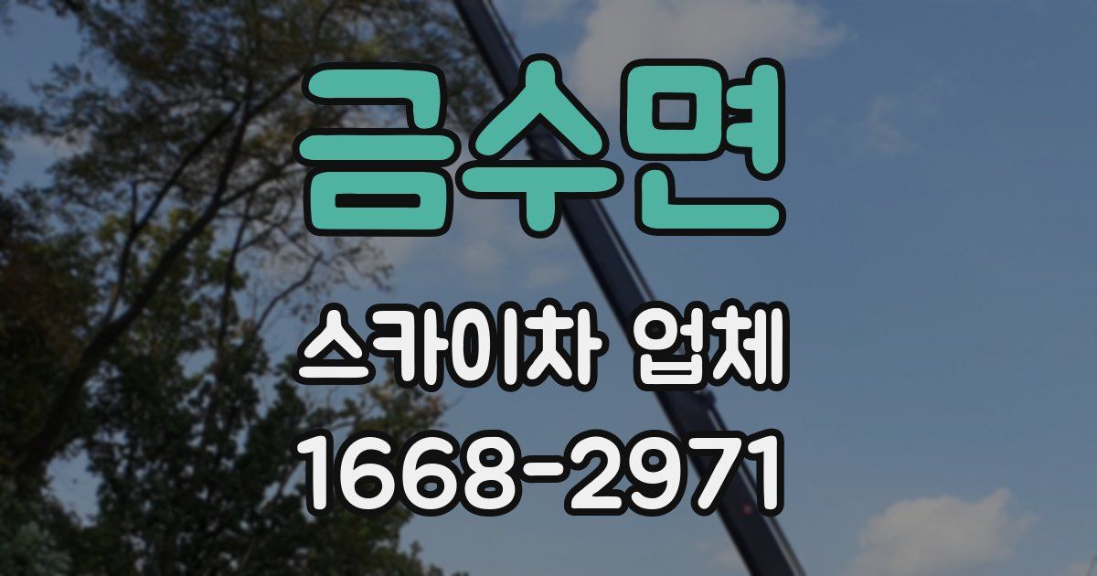 금수면 스카이차 업체