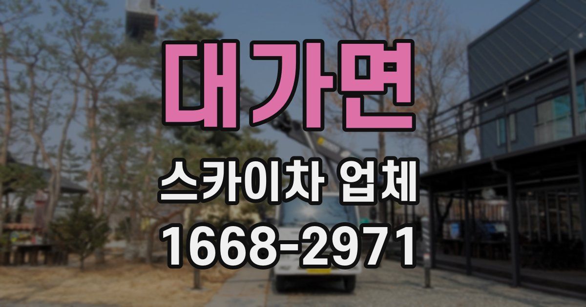 대가면 스카이차 업체