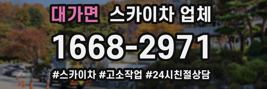 대가면 스카이차 업체