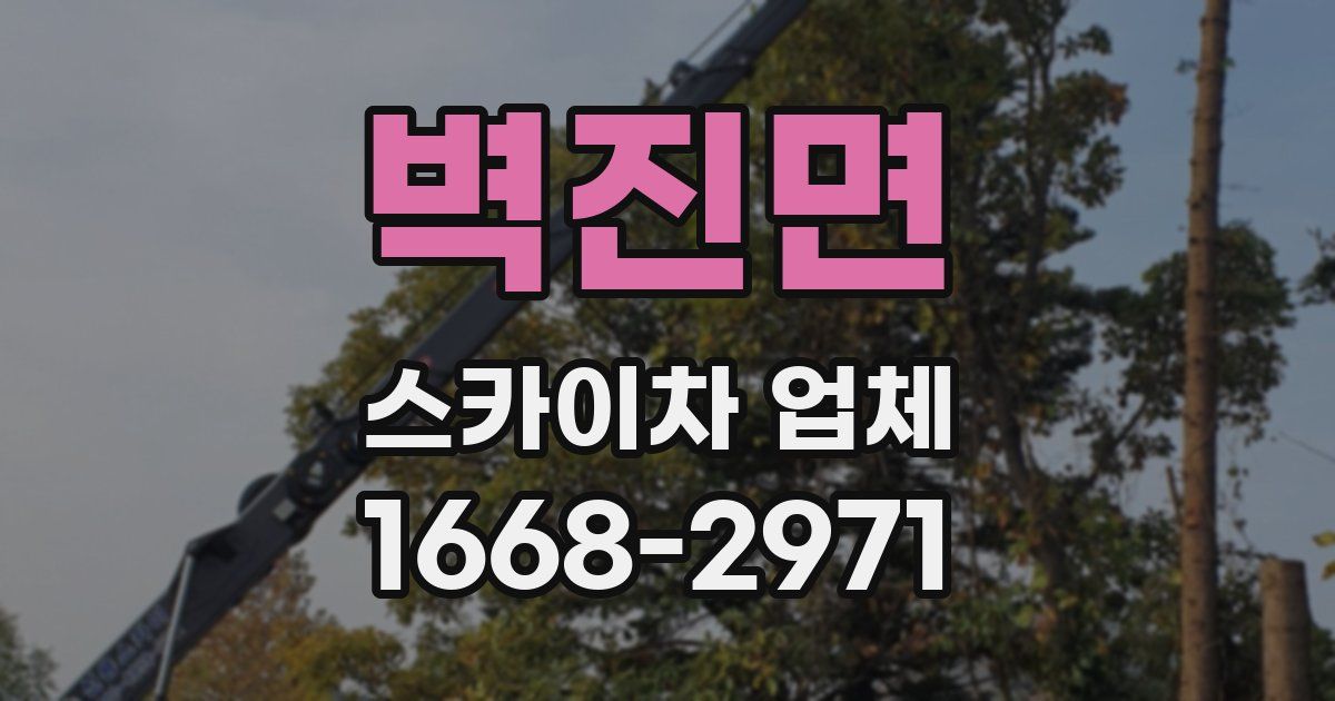 벽진면 스카이차 업체