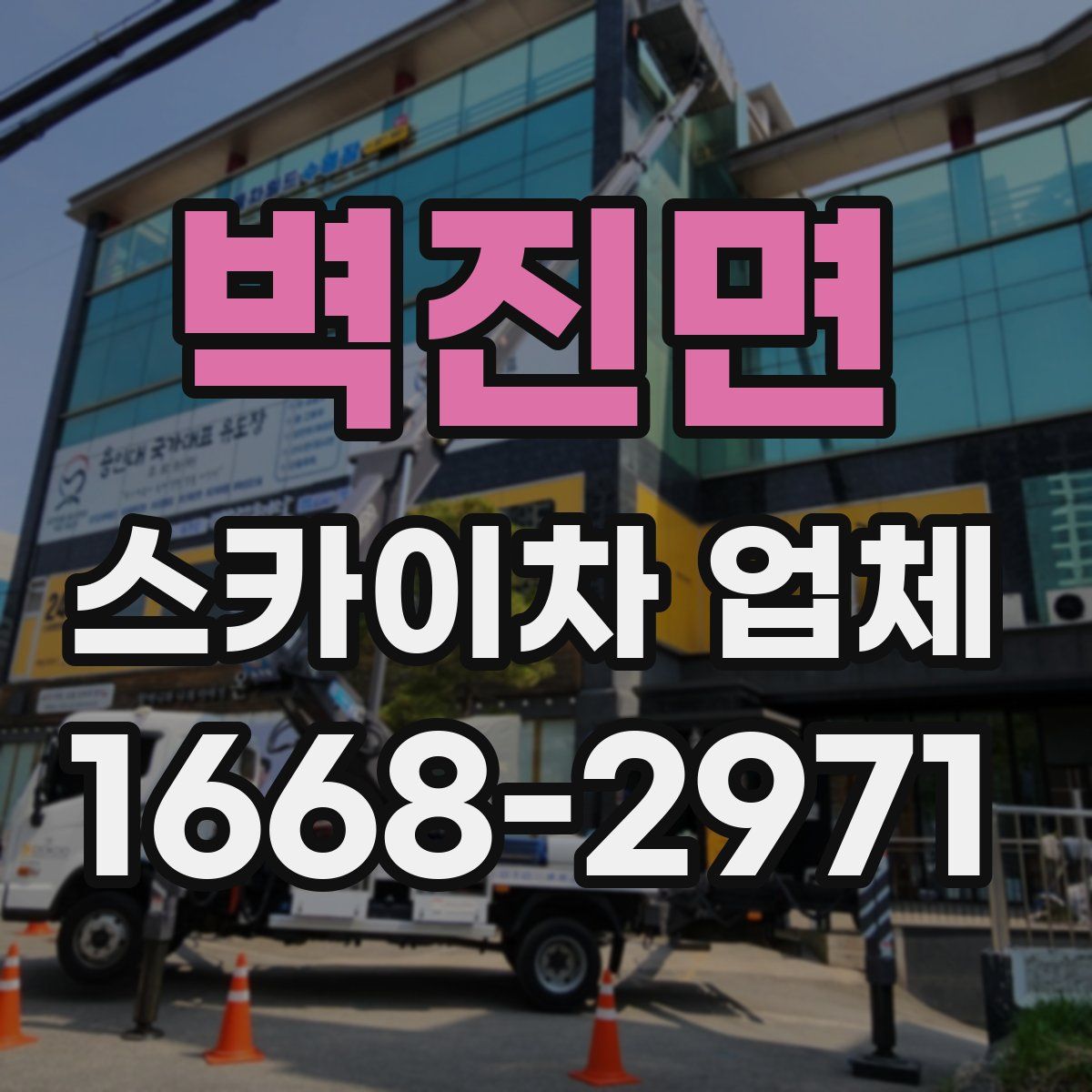 벽진면 스카이차 업체