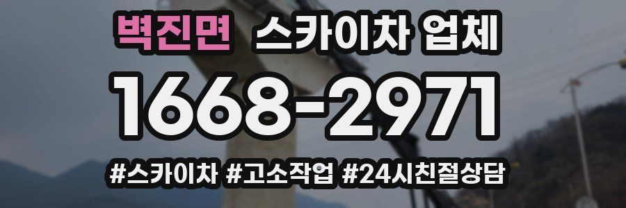 벽진면 스카이차 업체
