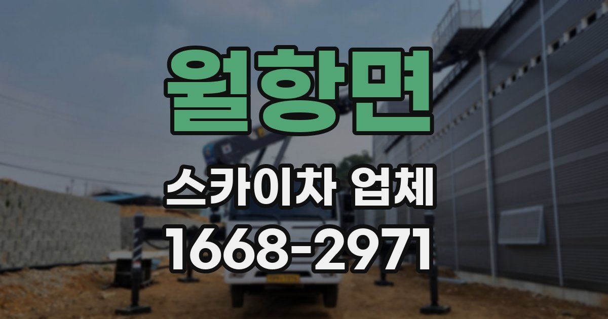 월항면 스카이차 업체