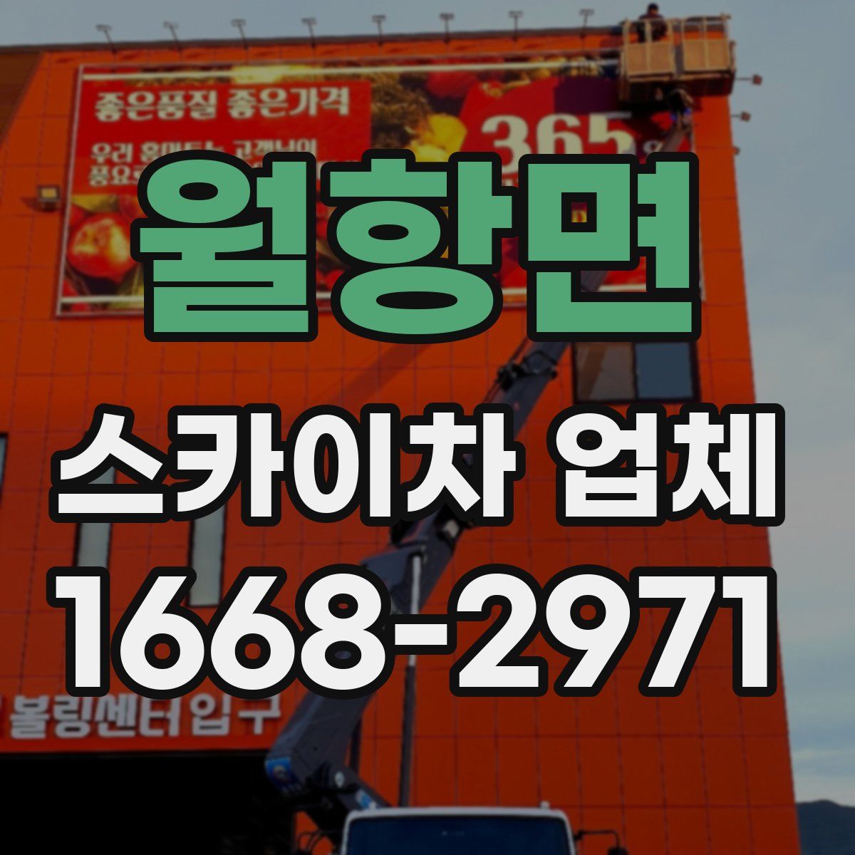 월항면 스카이차 업체
