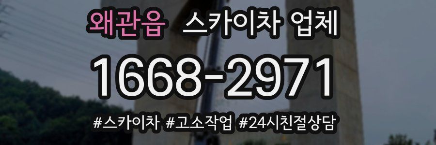 왜관읍 스카이차 업체