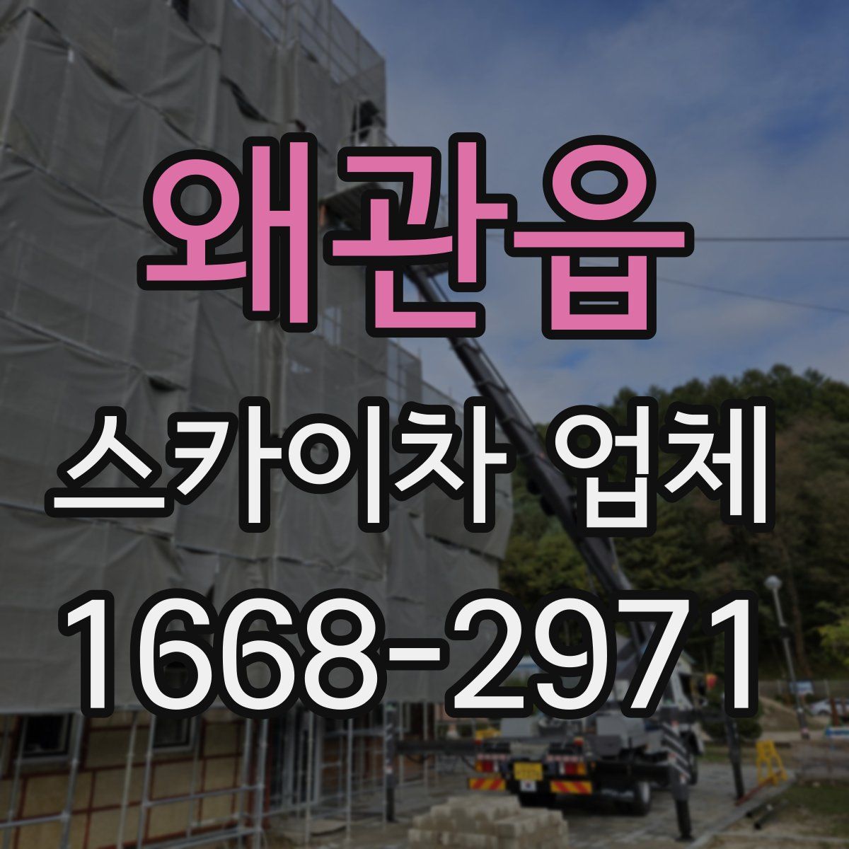 왜관읍 스카이차 업체