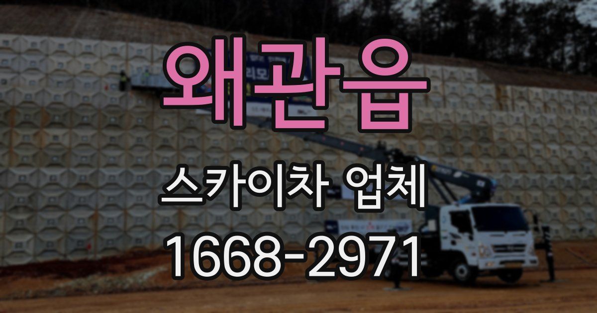 왜관읍 스카이차 업체