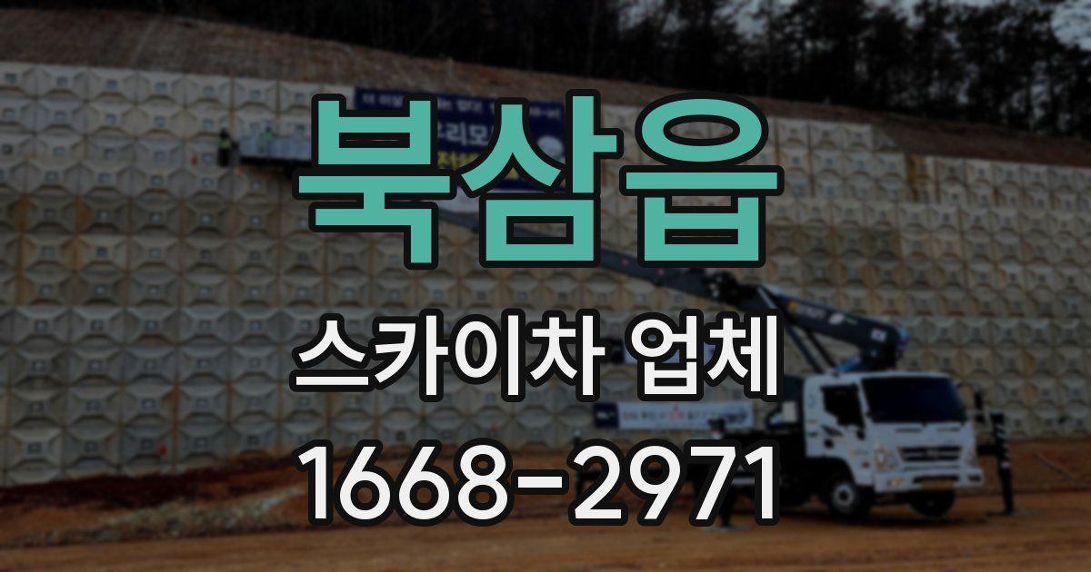 북삼읍 스카이차 업체