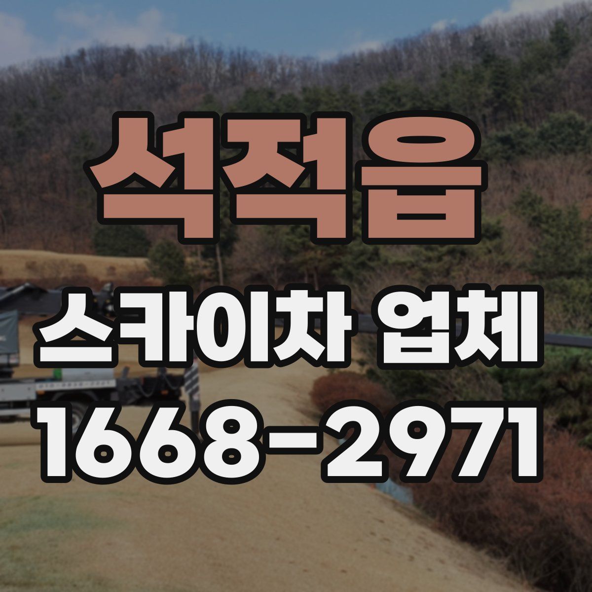석적읍 스카이차 업체