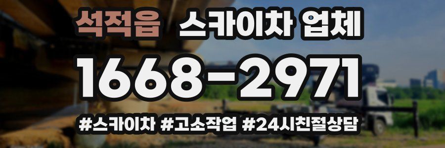 석적읍 스카이차 업체