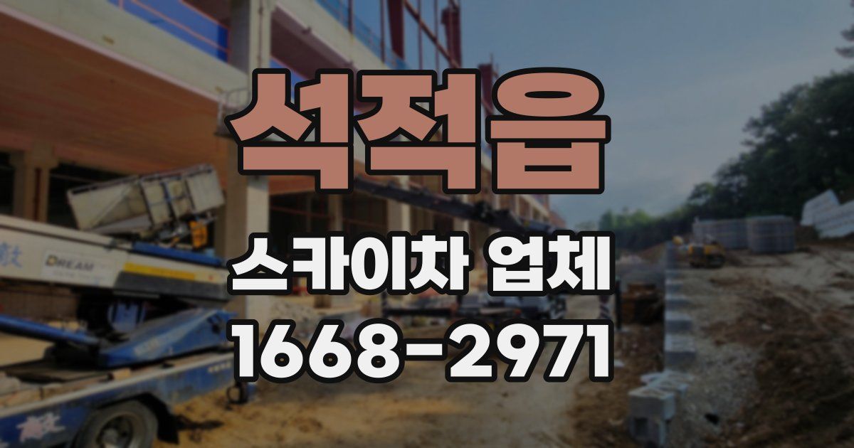 석적읍 스카이차 업체