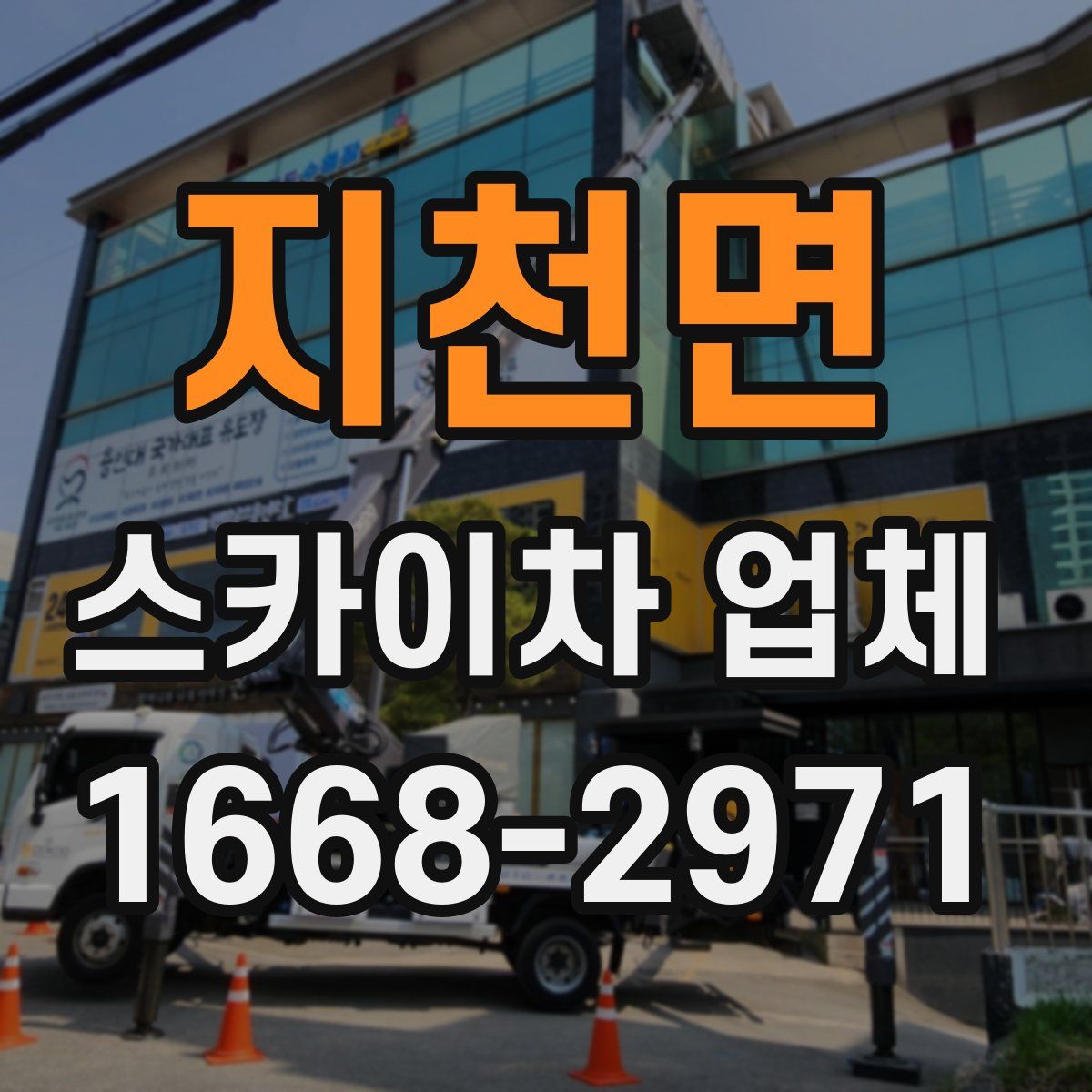 지천면 스카이차 업체