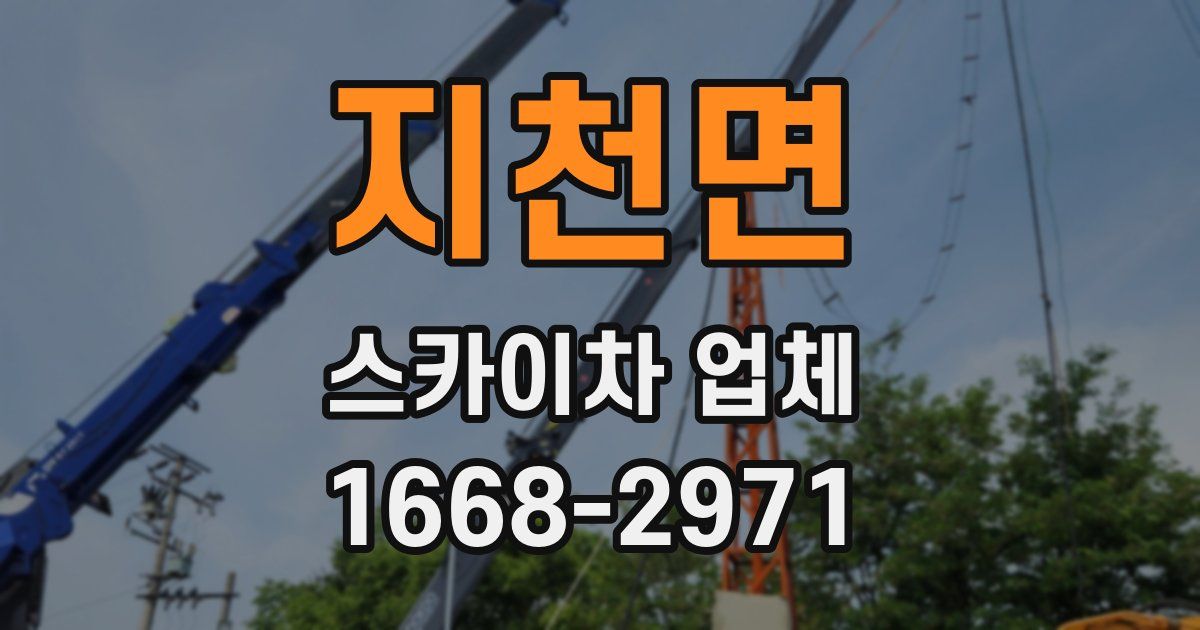 지천면 스카이차 업체