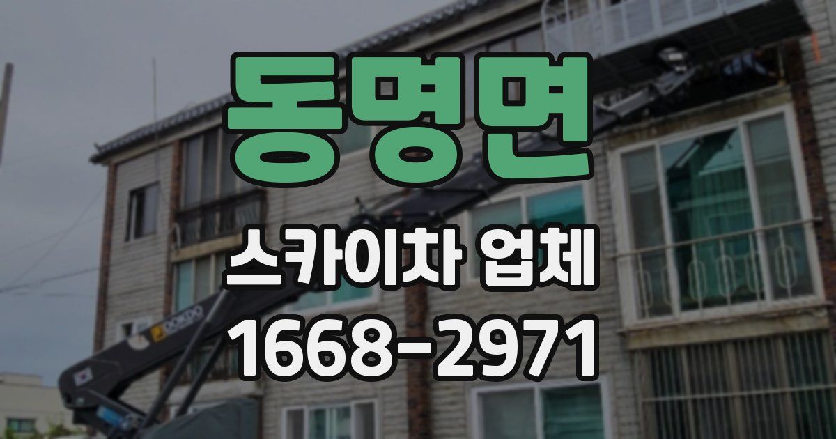 동명면 스카이차 업체