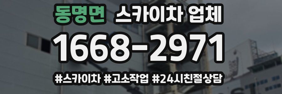 동명면 스카이차 업체