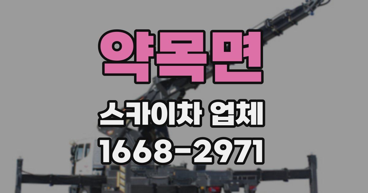약목면 스카이차 업체