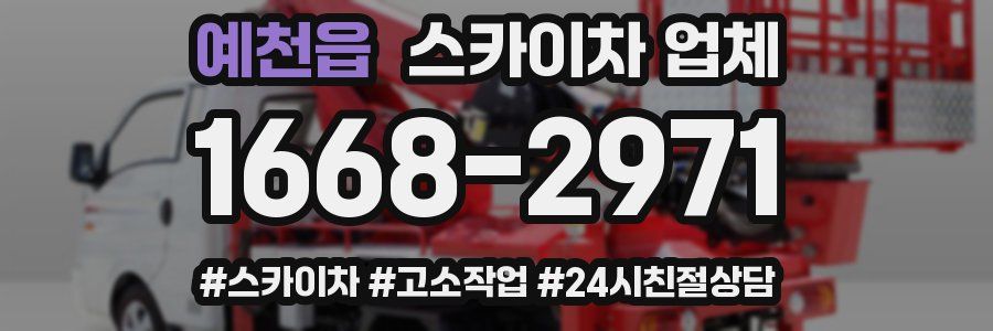예천읍 스카이차 업체