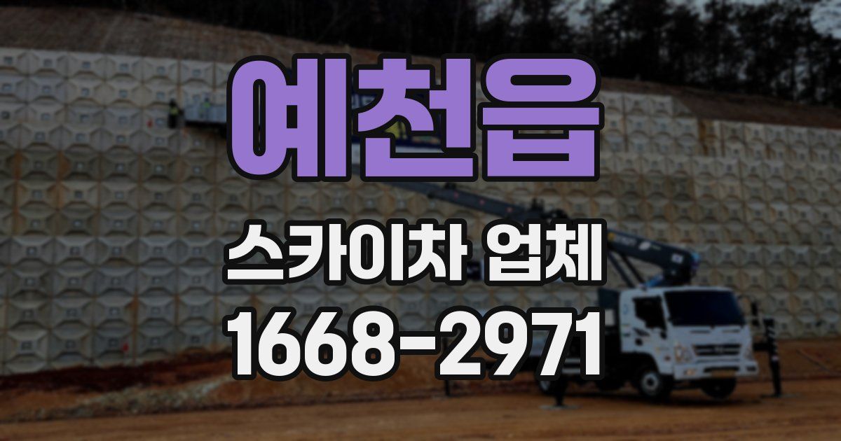 예천읍 스카이차 업체