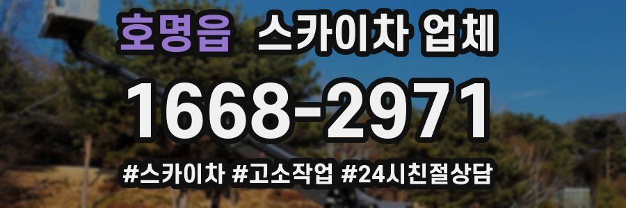 호명읍 스카이차 업체