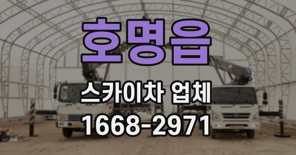 호명읍 스카이차 업체