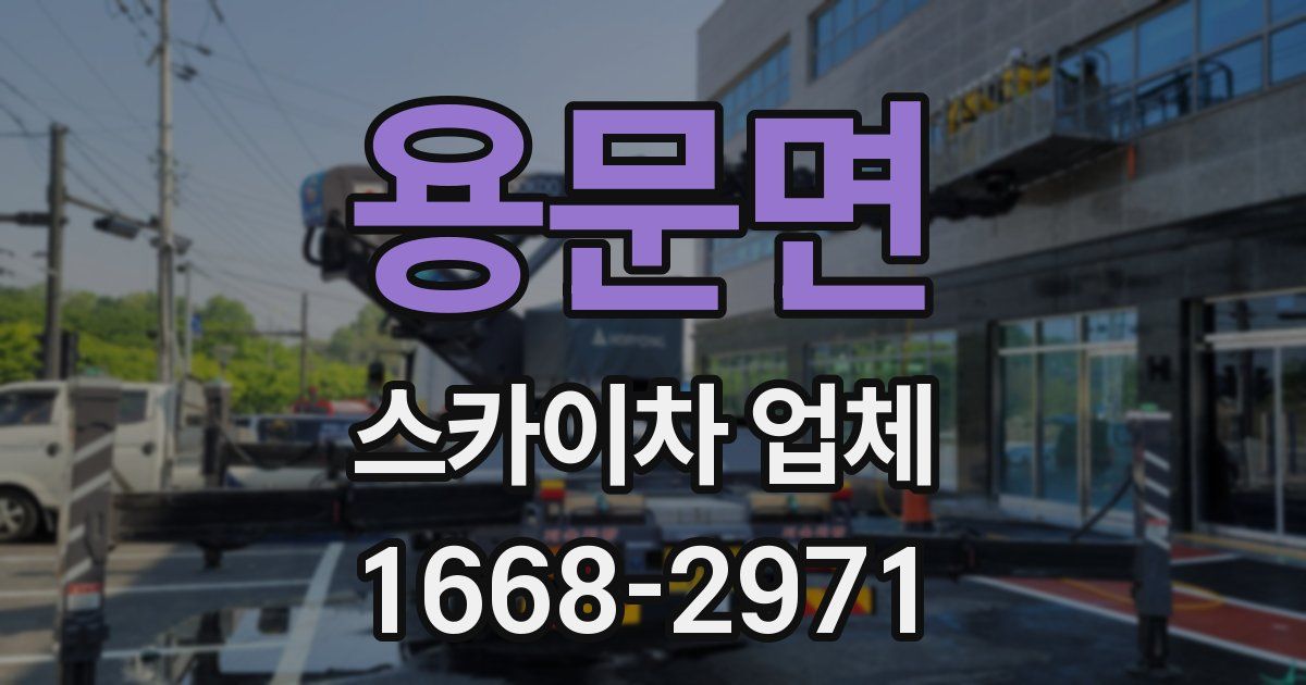 용문면 스카이차 업체
