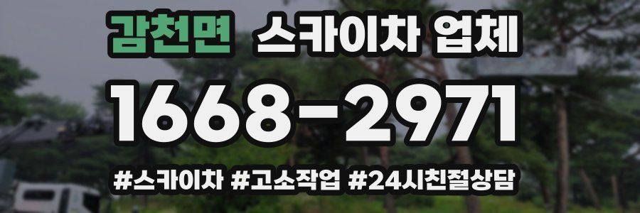 감천면 스카이차 업체