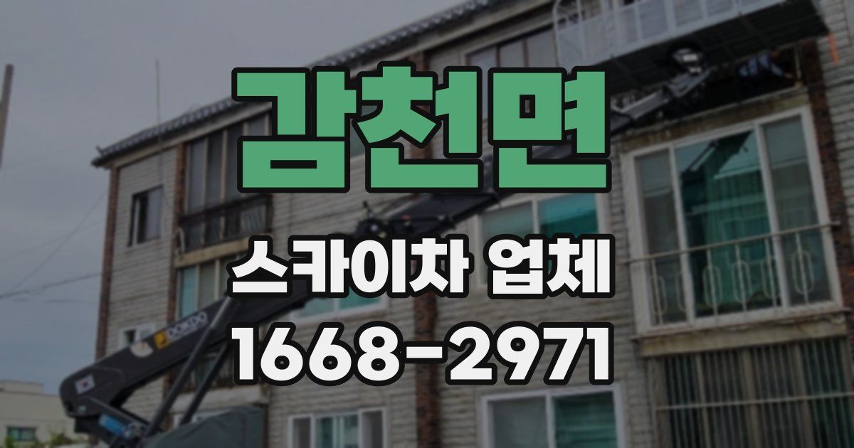 감천면 스카이차 업체