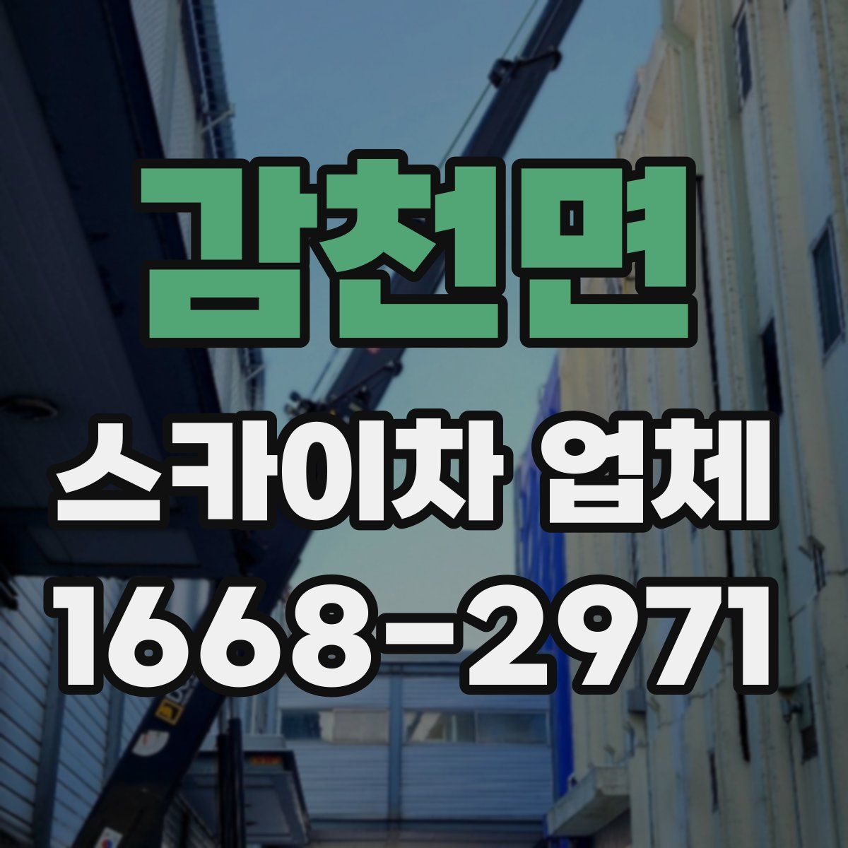 감천면 스카이차 업체