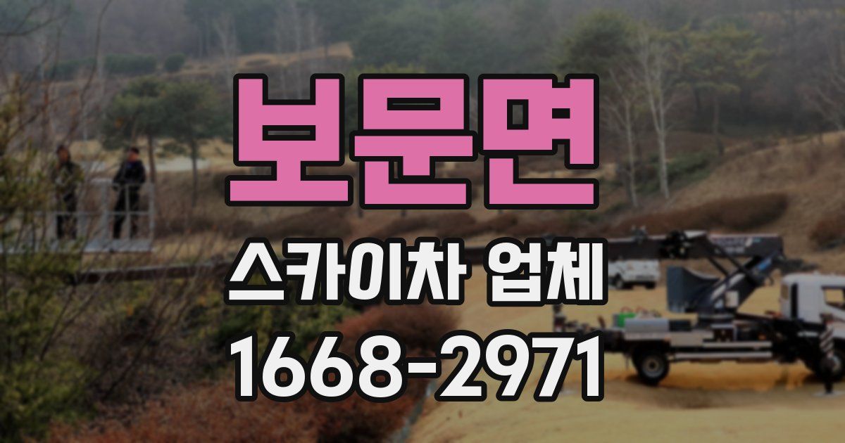 보문면 스카이차 업체
