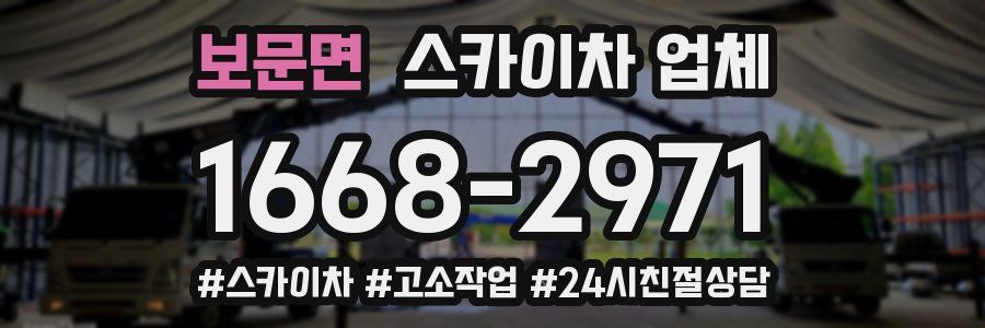 보문면 스카이차 업체