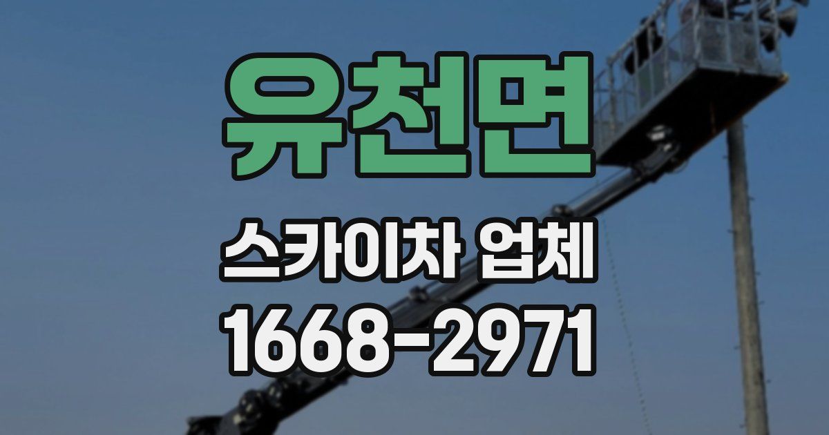 유천면 스카이차 업체