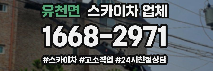 유천면 스카이차 업체