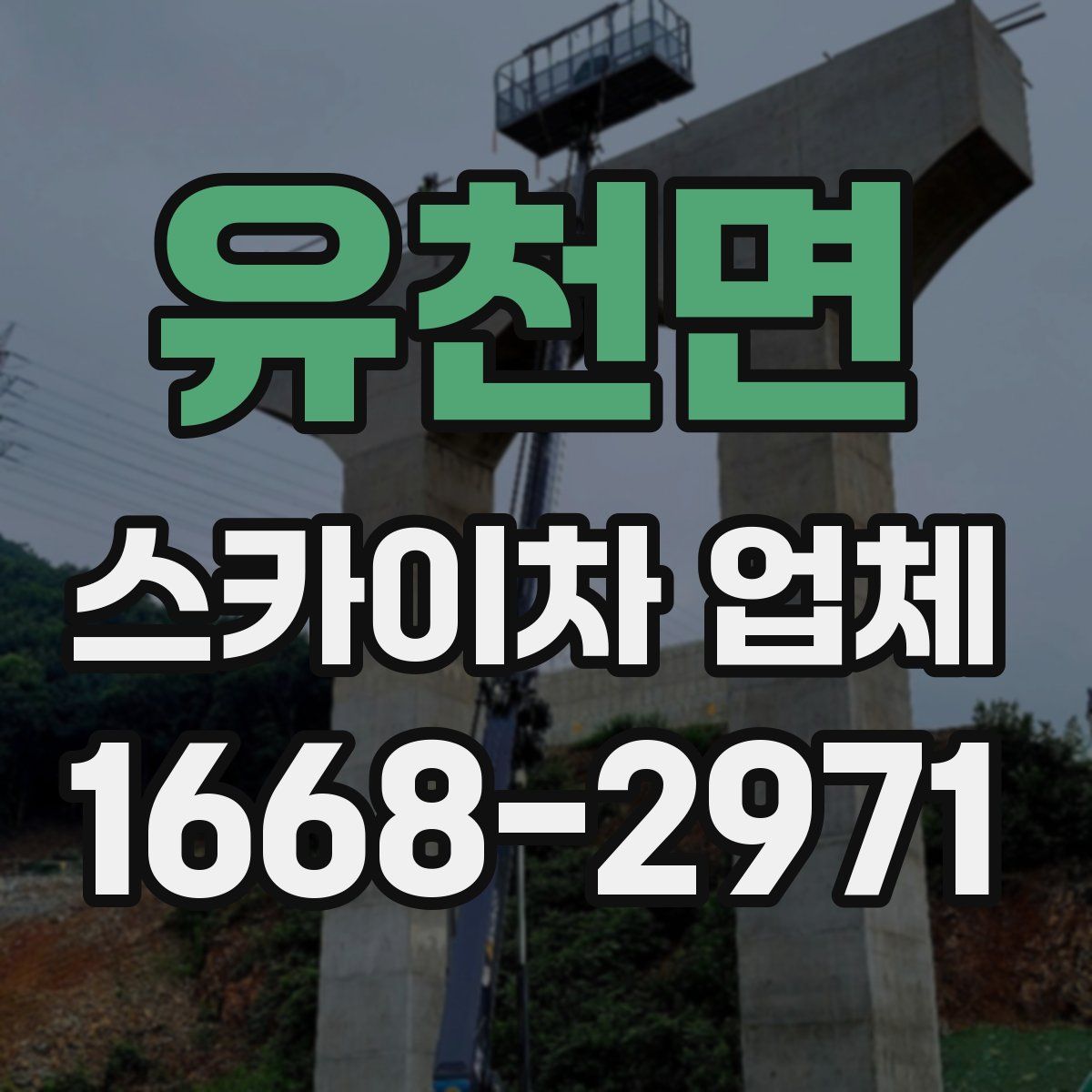 유천면 스카이차 업체