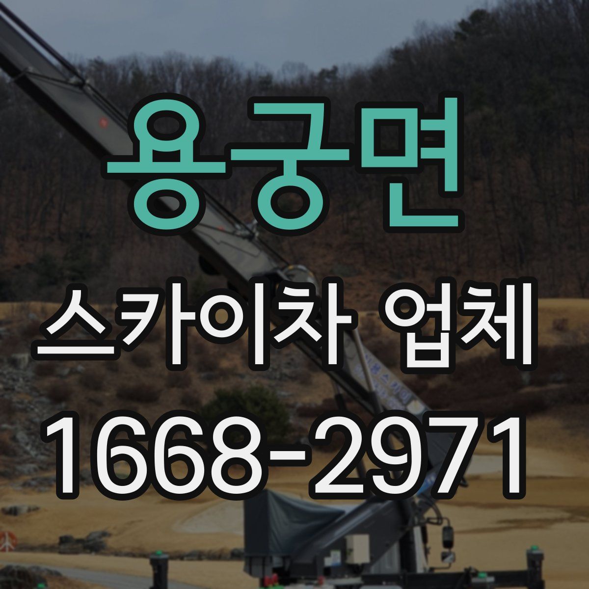 용궁면 스카이차 업체