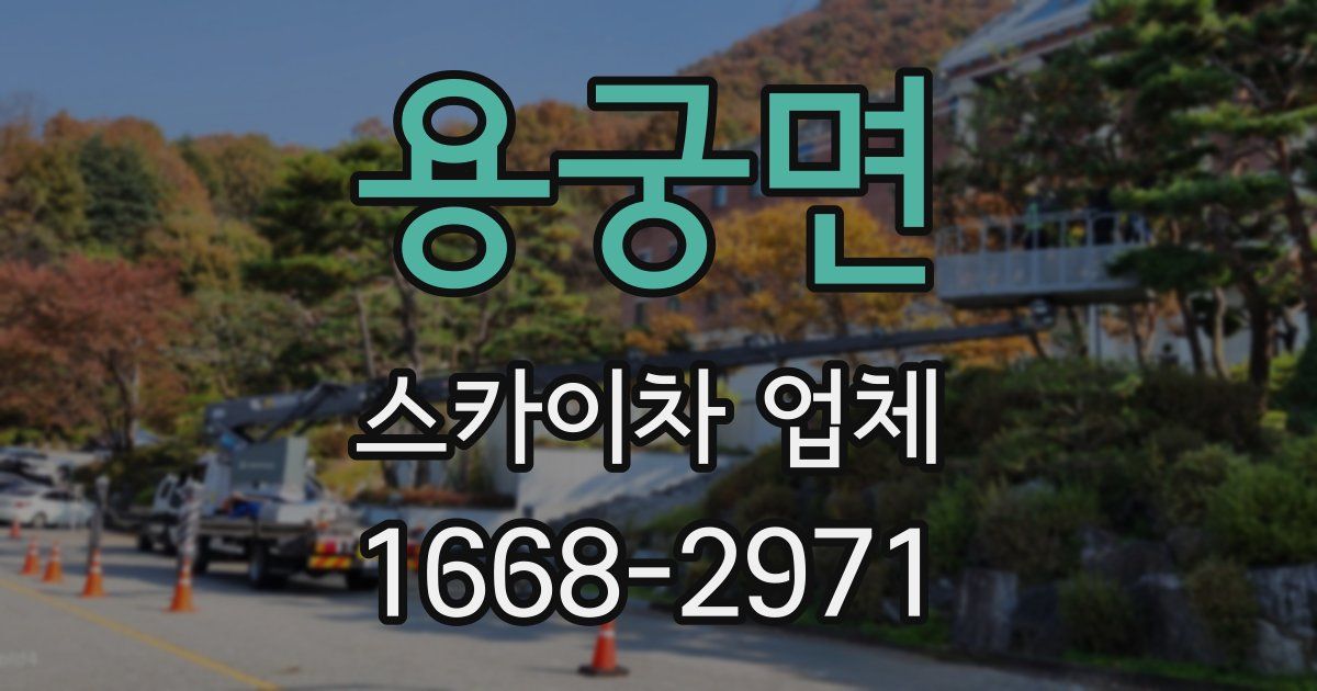 용궁면 스카이차 업체