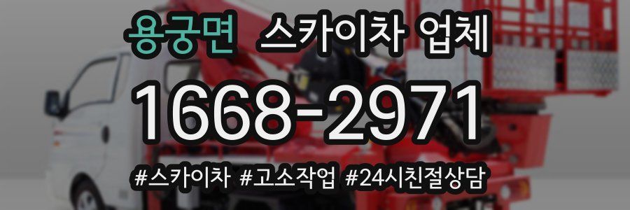 용궁면 스카이차 업체