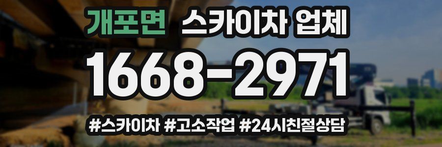 개포면 스카이차 업체